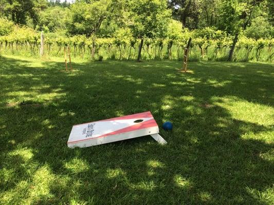 Corn hole and 3 bar golf thing game at this place!   NOTE:  This place is known for there dessert wine but also has other wineries wine too.