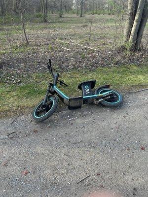 If you ditch a rental scooter in the middle of a Metropark, you are officially an A$$hole.