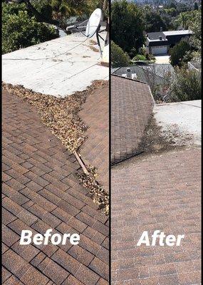 Roof Clean-up