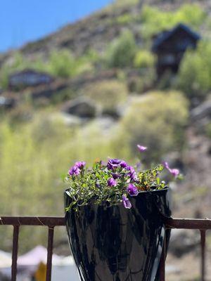 Mount Lemmon Tucson AZ