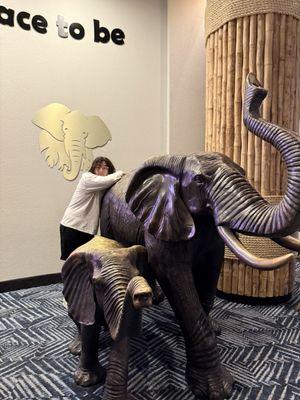 Elephants decorate the hallways