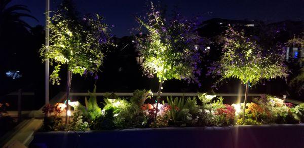 Landscape lighting