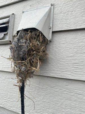 Patriot Dryer Vent Cleaning