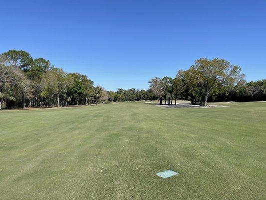 Fairways in great shape!