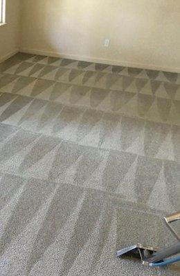 Deep Cleaning Carpet