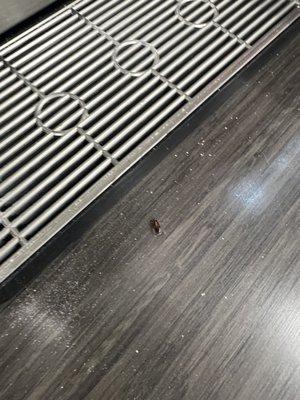 I was making coffee and here come roaches ‍it was several roaches near the coffee so be careful when grabbing lids and making coffee