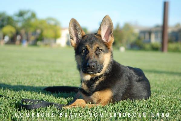 Our handsome boy at 17 weeks!