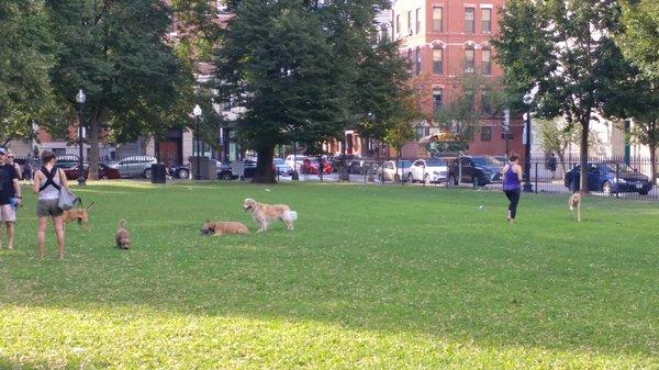 Blackstone Square in Boston's South End