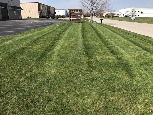 Commercial mowing