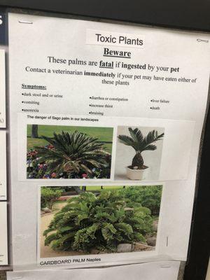 Toxic plants!! Great info. 3/12/2020