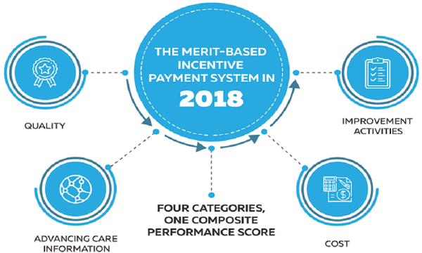 QPP-MIPS 2018 Performance Categories