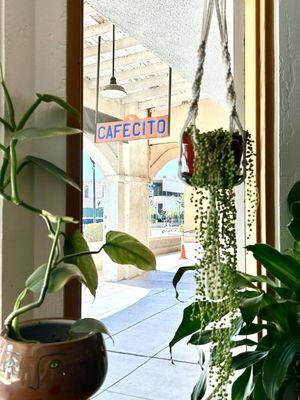 The view from inside looking down Main Street.