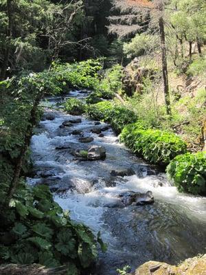 Squaw Valley Creek