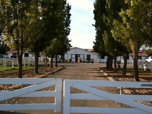 Very unassuming entrance! With a cute automated gate