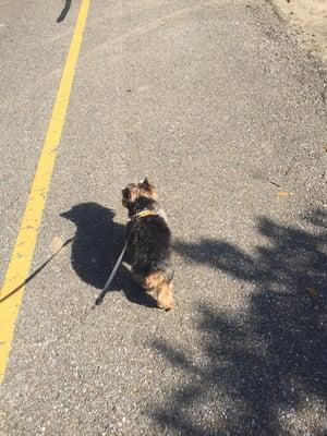 She even took him on special walks that he loves so much!