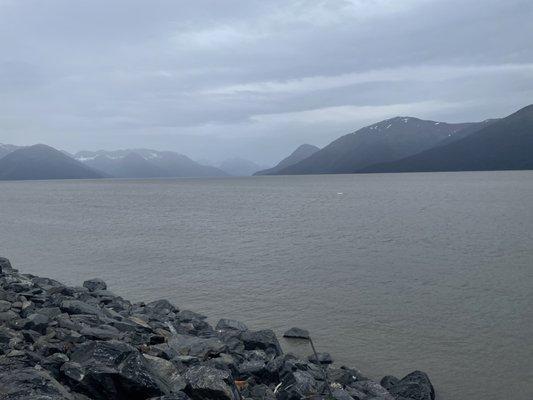 whales off the Seward hwy