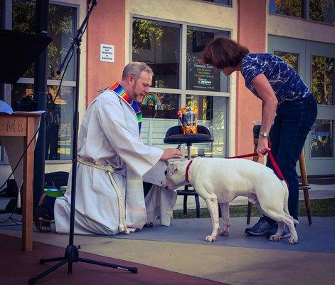 Blessing of the Pets