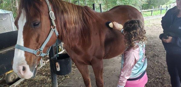 She turned the stables into a Horse Spa!