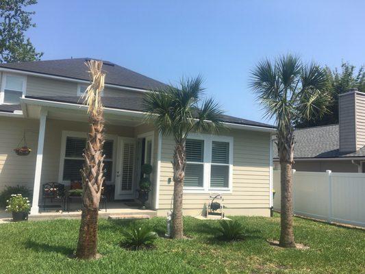 My mother purchased three palm trees. One died and it was replaced with another sick palm tree that died she had to pay for too!