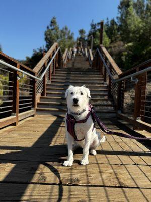 Back on the hike at age 9