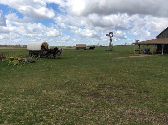 Covered wagon rides at Ingalls Homestead, De Smet, SD.