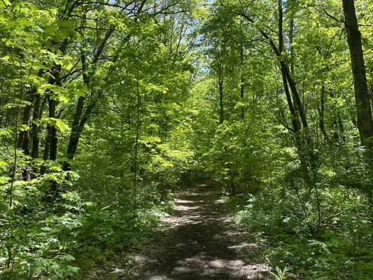 Hiking trail