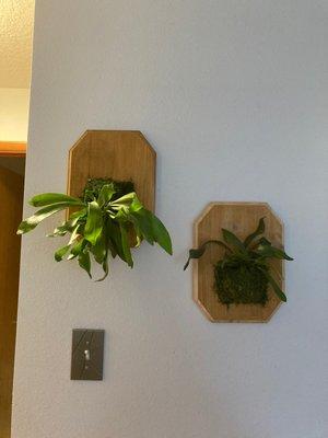 Made in the plane wall mounting class