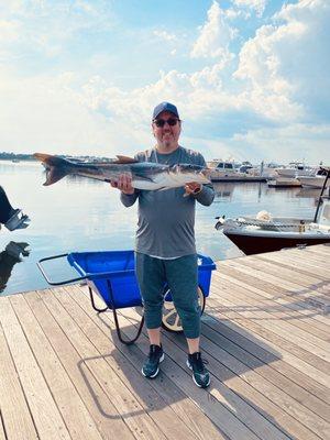 Anthony and a nice Cobia.