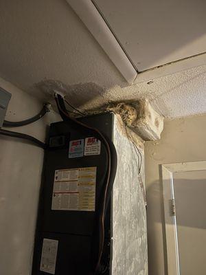 Mold growing all over our 1 year old unit - due to poor installation ...