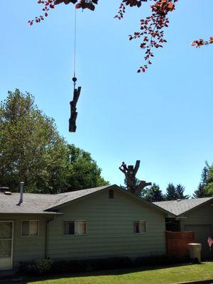 A Tricky crane removal over 2 houses.