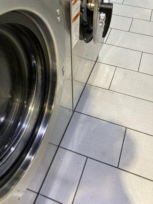 Spin Cycle Laundry