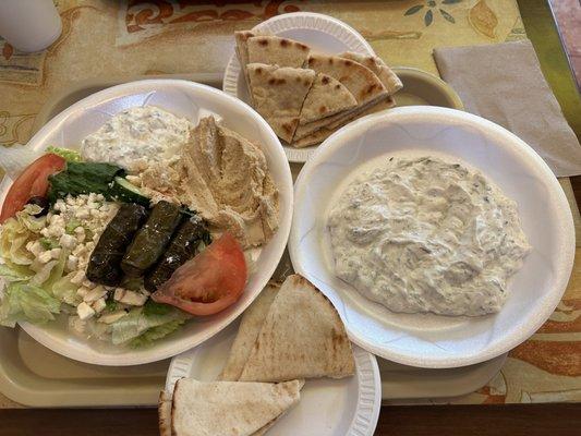 Gourmet veggie platter and cucumber sauce appetizer