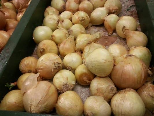 Fresh onions