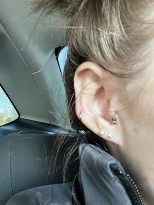 More of my cartilage piercings.