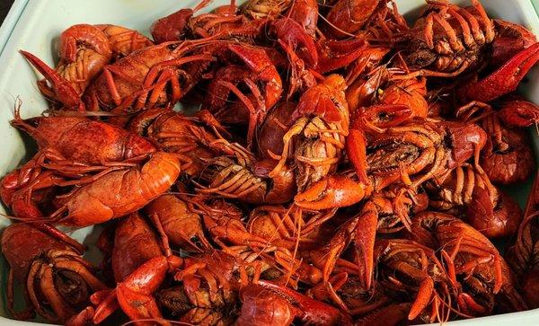 Order 10lbs of crawfish & get them for 5.99/lb. I always get at least 10lbs.