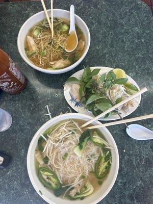 Pho ga with chicken, rice noodles and egg noodles