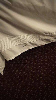 Torn and dirty bedskirt.