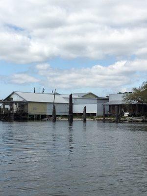 Backside view from the boat on the Bon Secour River.