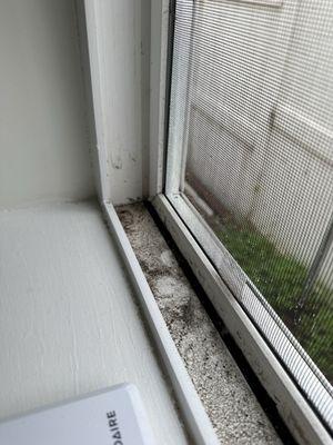 Kitchen sink windowsill