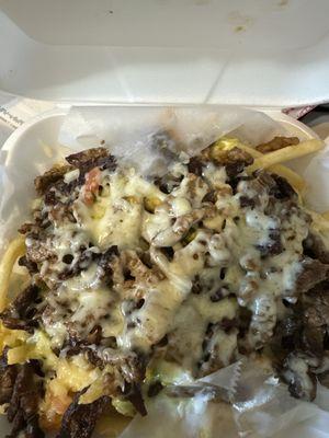 Extra crispy carne asada fries I think sometimes they make it kinda soggy so I just asked for extra crispy now and it's fantastic