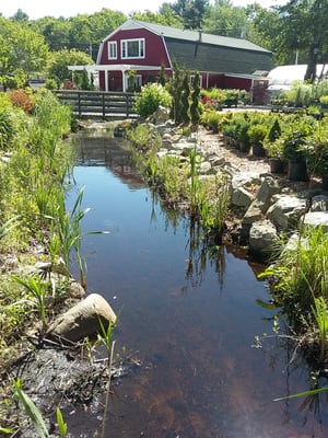 A wonderful garden, gift and floral shoppe on the NH seacoast.