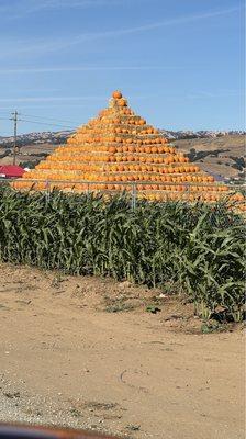 Pumpkin pyramid