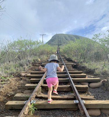 3 year old hiking (she made it to the top by herself but need to be carried halfway down)