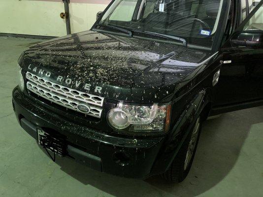 Car returned with bird crap all over it.