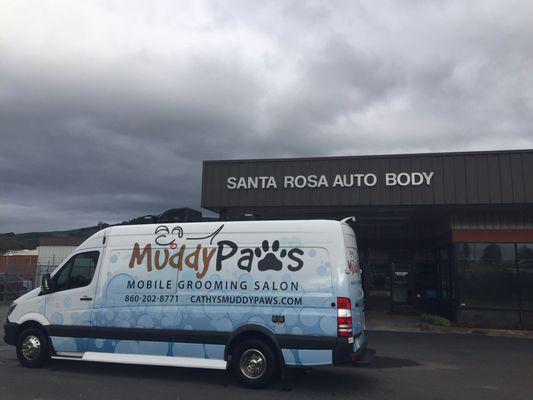 Muddy Paws van ready for pickup at Santa Rosa Auto Body