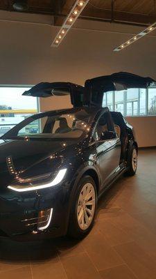 Model x