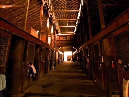 Our main Abbedale barn, named after the Hall of Fame standardbred that was standing stud back in the day.