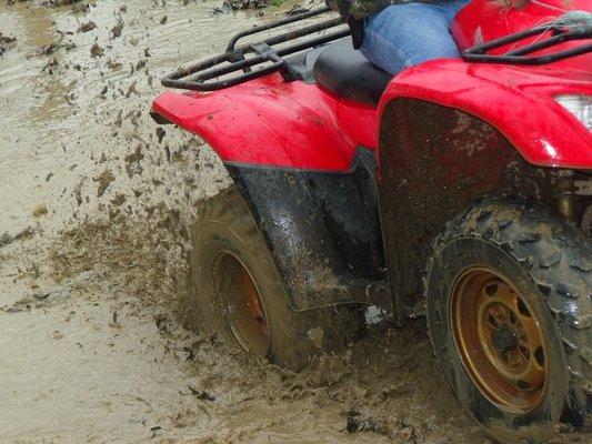 ATV Insurance