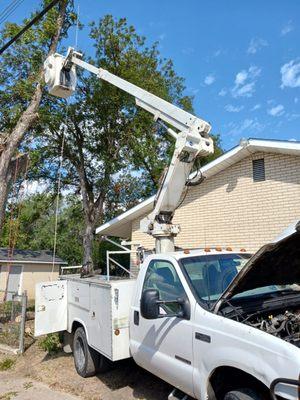 Top Notch Tree Service