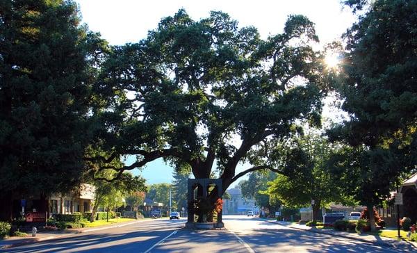 Entering historic Downtown Danville...